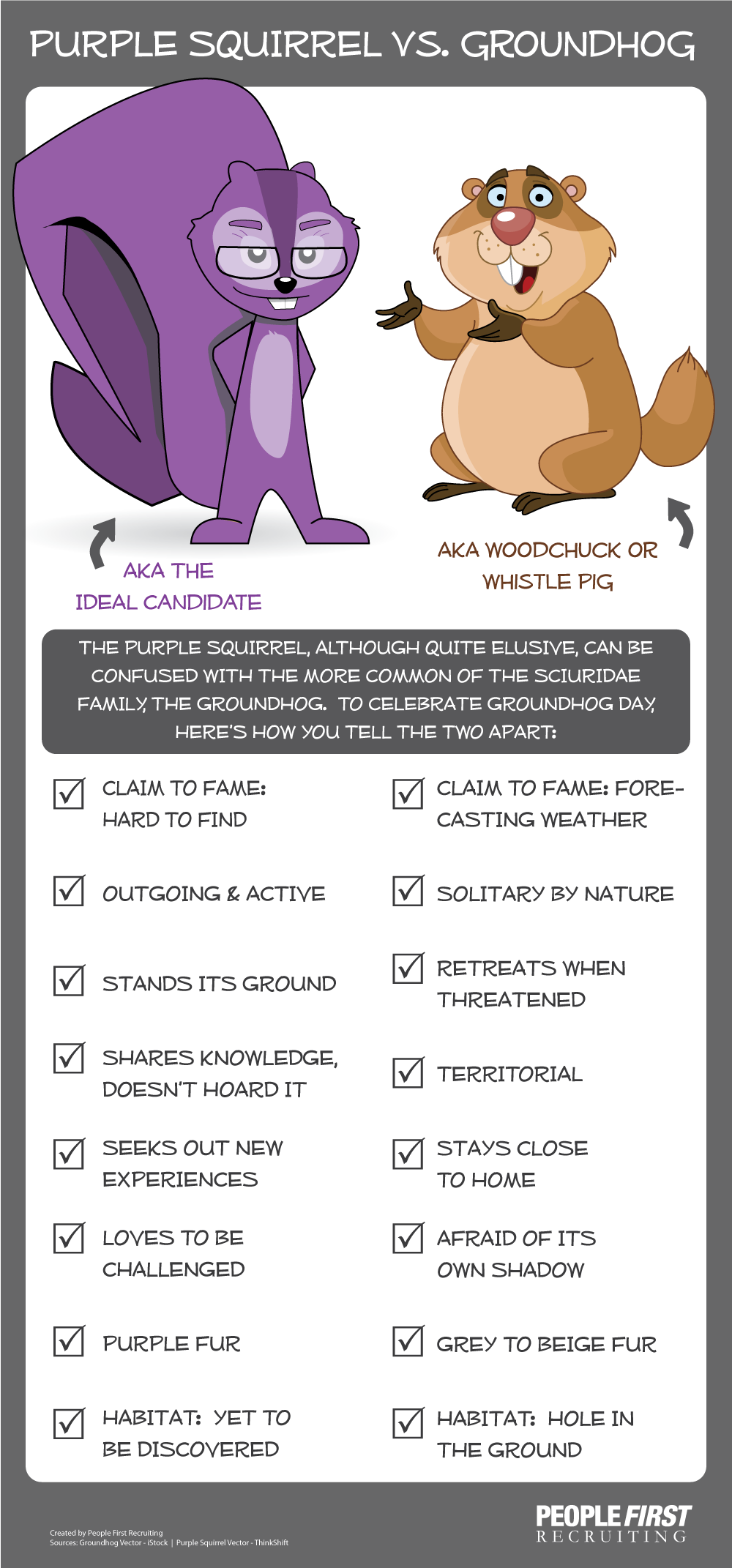 purple squirrel vs groundhog